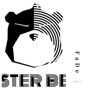 Alan walker-fade（spirit Remix）