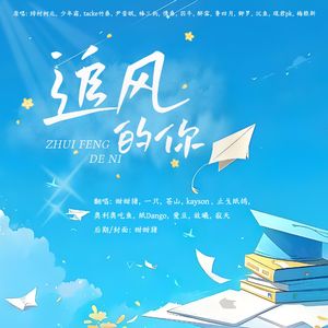 追风的你