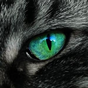 Caspian
