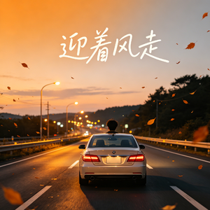 迎着风走