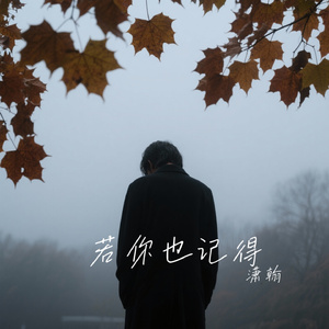 若你也记得