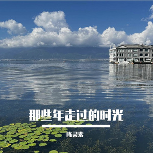 那年的大雨落下