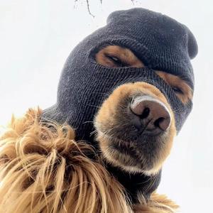 像风一样自由（Cover 许巍）