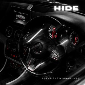 Hide