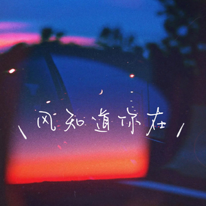 风知道你在