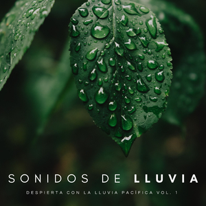 Desfile De Lluvia