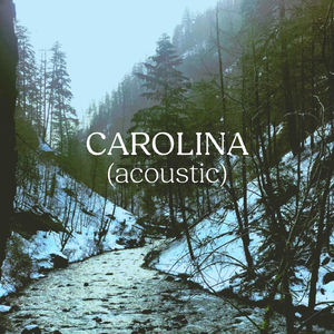 Carolina (Acoustic Version)