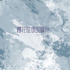 樱花绽放的瞬间