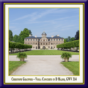Viola Concerto in D Major, GWV 314: II. Adagio (Live)