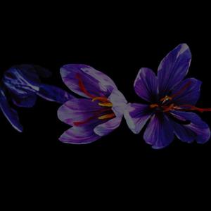 Saffron