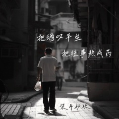 把酒叹平生把往事熬成药