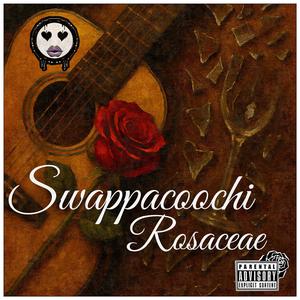 Allusion of Life Love (feat. The Swappacoochi Tribe & Swappacoochi)