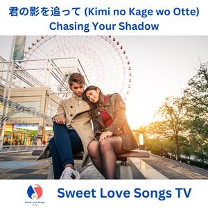君の影を追って (Kimi no Kage wo Otte) Chasing Your Shadow