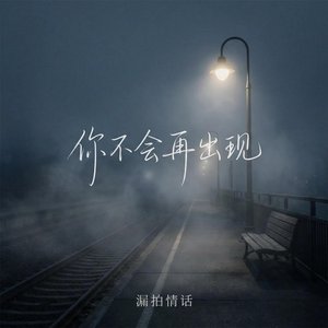 你不会再出现