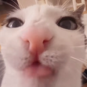 Johannes Linstead-night dance（北玄. remix）