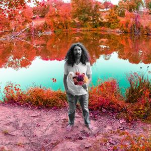 Blood on the Streets