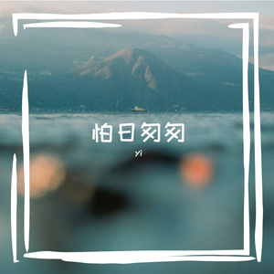 枯枝绽放的奇迹