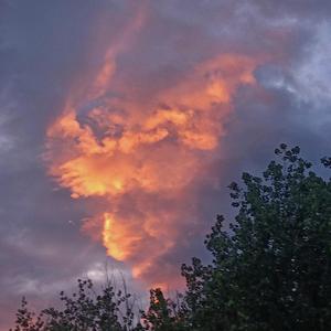 你的余温（cover：Gifty）