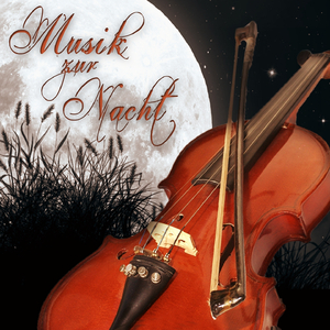 Divertimento No. 10, KV 247 ''Lodronischen Nachtmusiken'': Allegro