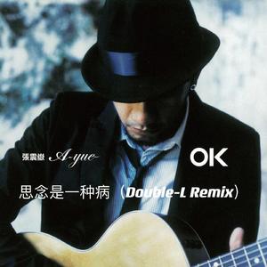 张震岳，蔡健雅-思念是一种病（Double-L李泽珑 remix）