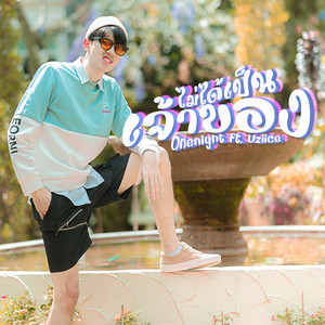 ไม่ได้เป็นเจ้าของ