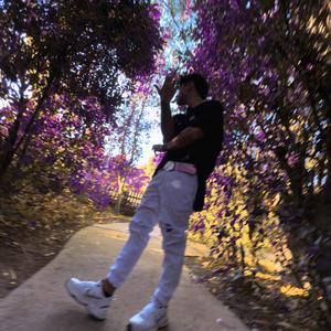 G E L A T O (Fressstyle)