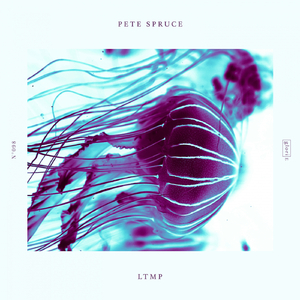 LTMP (Let The Music Play) (Extended Mix)