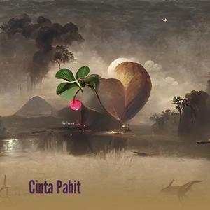 Cinta Pahit