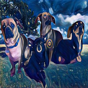 Who Poo Poo'd in My House?