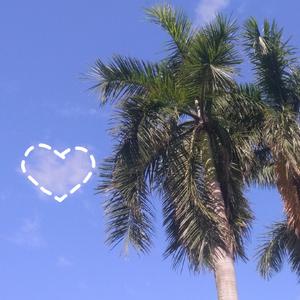 广州太冷了 我不想出门约会