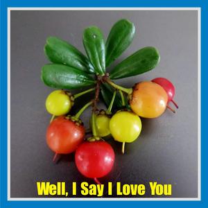 Well, I Say I Love You