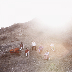 The Sparrows of Merrit Island