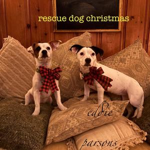 rescue dog christmas