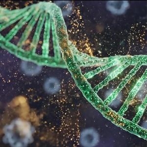 Cosmic Symphony 528Hz The way of water