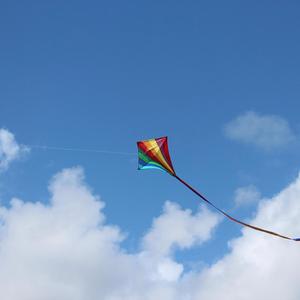 ลมใต้ปีก