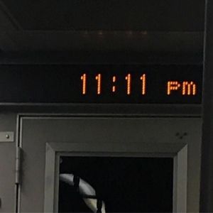 《碎玻璃与候鸟》