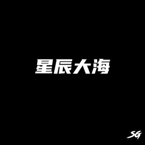 星辰大海 - 七叔-叶泽浩（SG-苏刚刚 Remix）