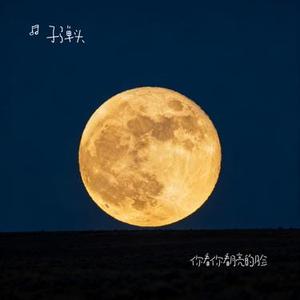 你看你看月亮的脸 (Cover DJ豪大大)