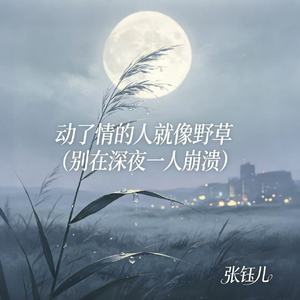 动了情的人就像野草（别在深夜一人崩溃）