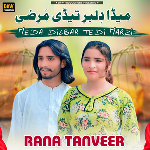 Meda Dilbar Tedi Marzi