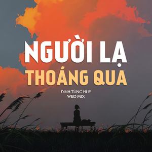 Người Lạ Thoáng Qua (WEO Mix)