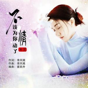 不该为你动了情 (Live合唱版)