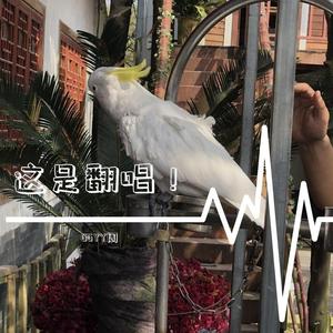 无题（翻自 胡夏）