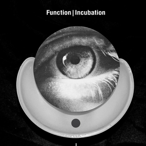 Incubation (Ritual) (Recondite Remix)