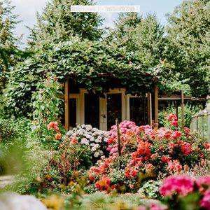 旅馆柔和的爵士