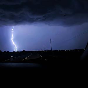 茶花开了 该回家了