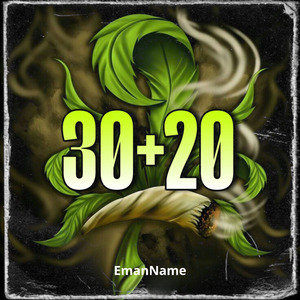 30+20