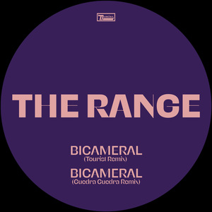 Bicameral (Tourist Remix)
