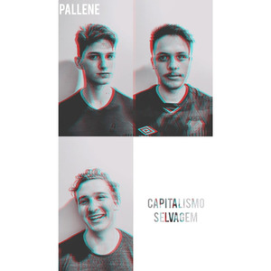 Capitalismo Selvagem
