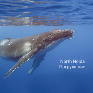 Погружение